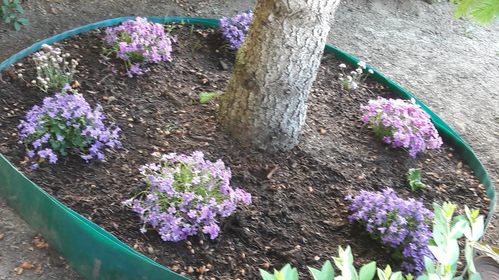 Szaloky Apartmanhaz Gyenesdiás Exteriér fotografie